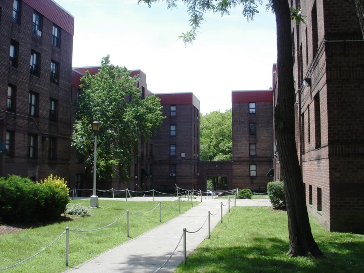 Conference > Preservation: Sustainability&nbsp;2