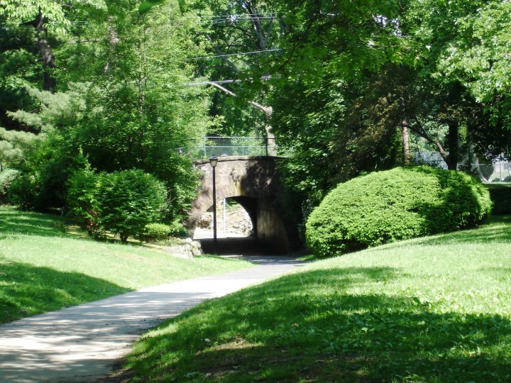 Funding > Stein Grant&nbsp;award